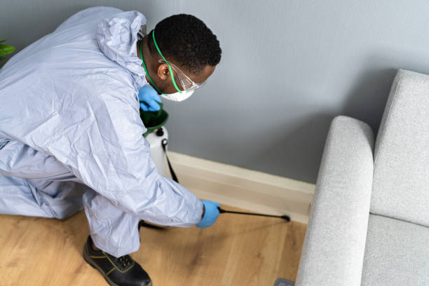 Reliable Norwood, OH Pest control Solutions